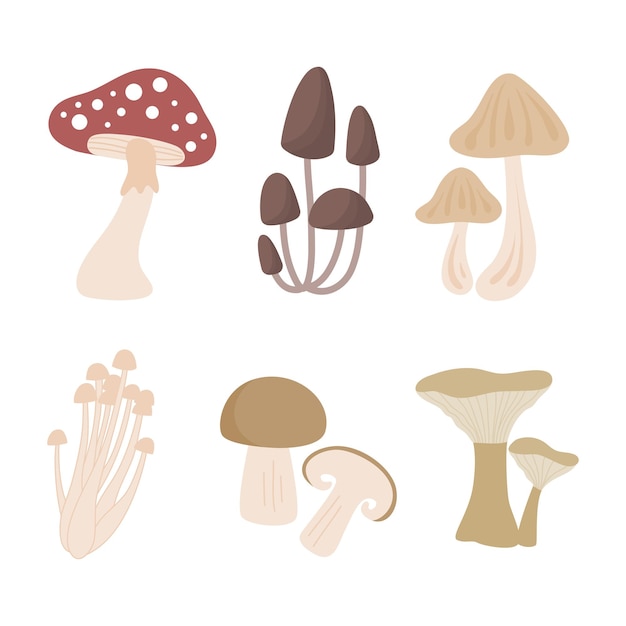 verzameling van eetbare paddestoelen illustratie vector