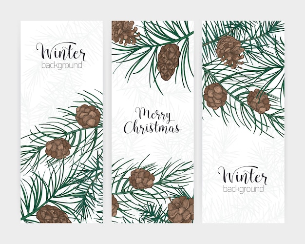 Verzameling van elegante verticale feestelijke wintersbanners met bos naaldboomtakken en kegels en vakantiebelettering