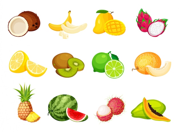 Vector verzameling van exotisch tropisch fruit in een trendy cartoonstijl. veganistisch eten vector geïsoleerd. vers geheel, half, gesneden plak en stuk fruit.