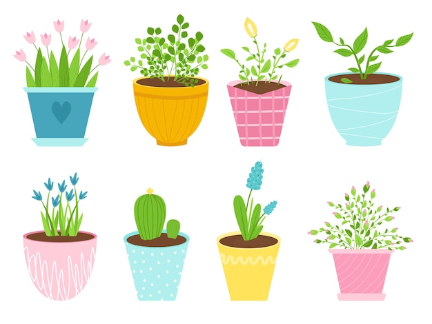 Verzameling van geïsoleerde afbeeldingen van binnenbloemen in keramische potten. planten in verschillende containers. vector illustratie.