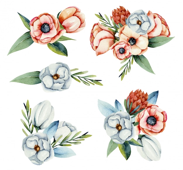 Verzameling van geïsoleerde aquarel boeketten van witte en koraal anemoon en protea bloemen, handgeschilderde illustratie