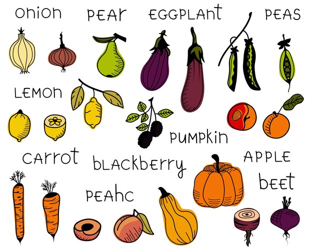 Verzameling van geïsoleerde hand getrokken gekleurde groenten en fruit Vector doodle collectie van appels peer