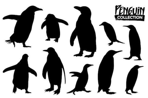 Verzameling van geïsoleerde pinguïnsilhouetten. Grafische bronnen.