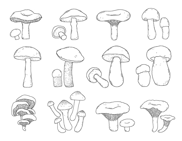 Verzameling van hand getrokken paddestoelen in doodle stijl op witte achtergrond.