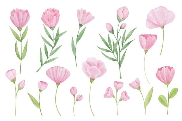 Verzameling van handgetekende aquarel roze bloemen Zachte bloemen botanische illustratie