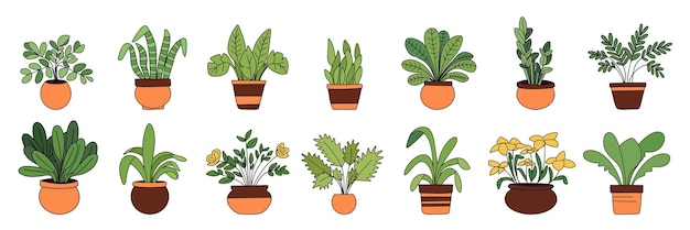 Verzameling van kamerplanten gekleurde omtrek Hand getekende kamerplant met omtrek geïsoleerd op wit
