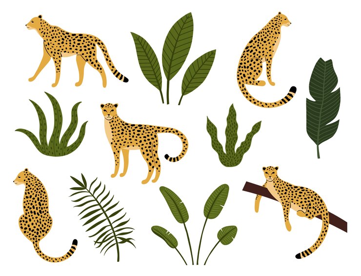 Vector verzameling van luipaarden, exotische bladeren, tropische planten