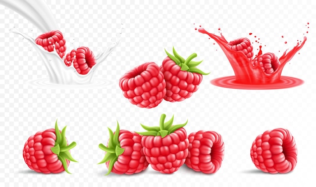 Verzameling van rijpe frambozen geïsoleerd op transparante achtergrond Framboos in een scheutje sap met druppels frambozen in een scheutje melk of yoghurt 3D-realistische vector set