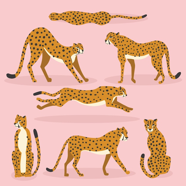 Verzameling van schattige hand getrokken cheeta's op roze achtergrond, staan, strekken, rennen en lopen. Vlakke afbeelding