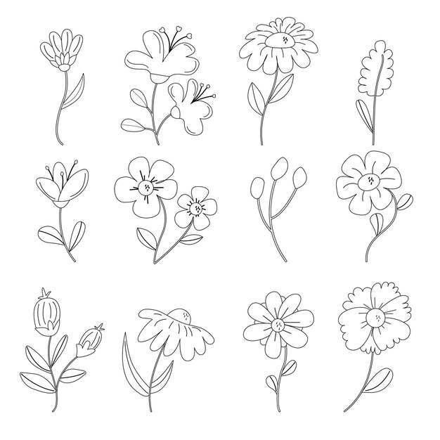 Verzameling van schetsen van lente zomerbloemen Vector