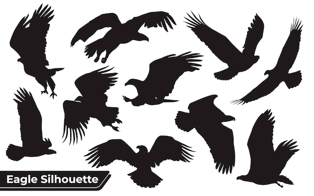 Verzameling van silhouetten van vogelarenden in verschillende posities