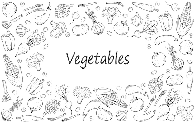 Verzameling van tekengroenten in doodle-stijl Een set vectorillustraties van de oogst maïs aardappelen wortelen radijs bieten knoflook uien tomaten etc