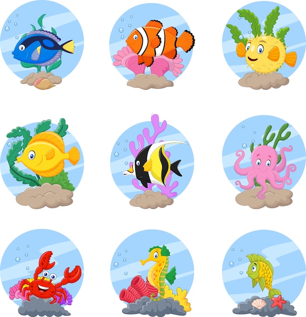 Verzameling van tropische rifvissen