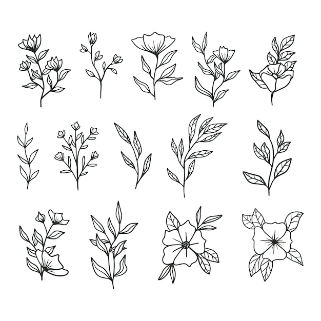 verzameling van verschillende bloemen en bladeren met de hand getekende doodle