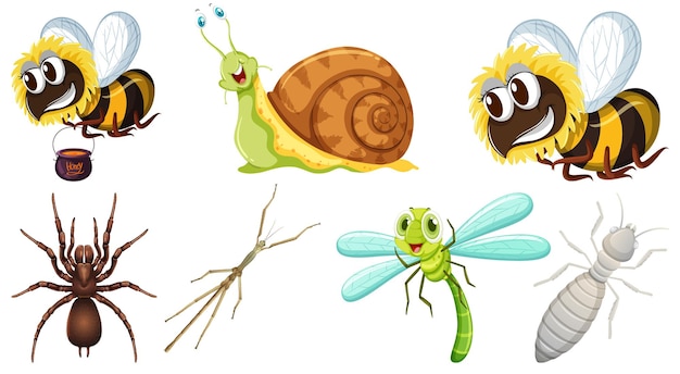 Verzameling van verschillende insecten vector