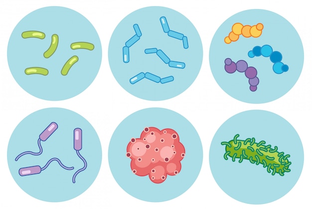 Verzameling van verschillende vergrote bacteriën