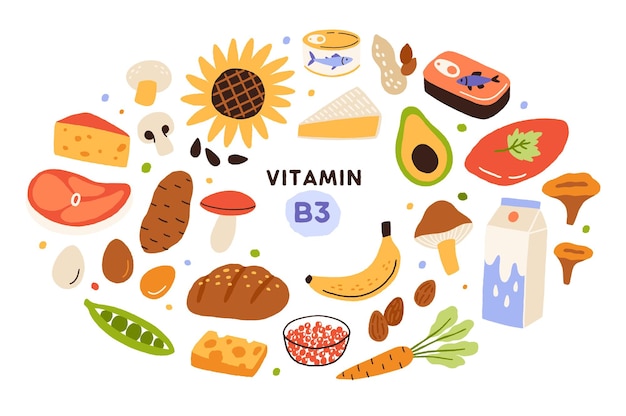 Verzameling van vitamine B3-bronnen. Voedsel dat niacine bevat. Banaan, champignons, noten, avocado, zuivel, etc. Dieetvoeding, biologische natuurproducten. Platte vectorillustratie cartoon.