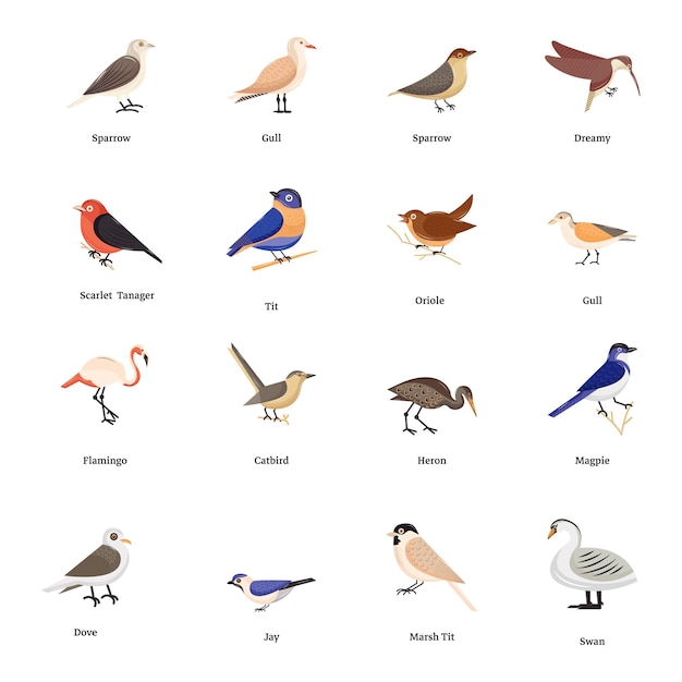 Vector verzameling van vogels isometrische pictogrammen