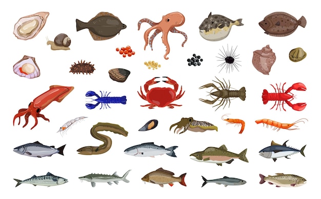 Verzameling van zee- en zoetwatervissen en delicatessen