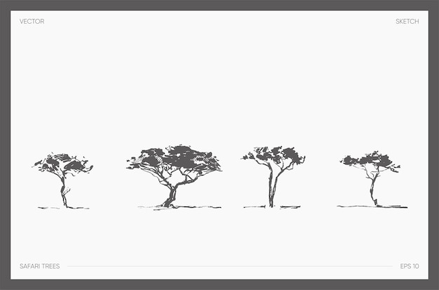 Verzameling van zeer gedetailleerde handgetekende vectorillustratie van safariboom, realistische tekeningen van acaci
