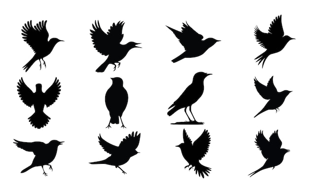 Verzameling vogelsilhouetten