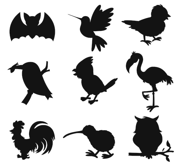 Verzamelingen van verschillende type vogels voertuigen platte geïsoleerde vector silhouetten