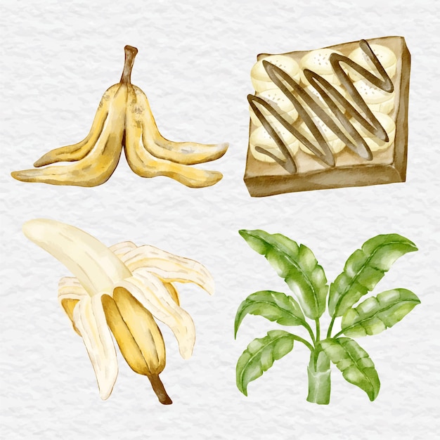 Verzamelset voor aquarelbanaan en dessertelementen