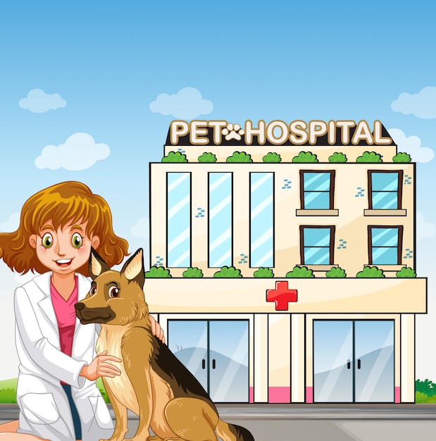 動物病院で獣医と犬