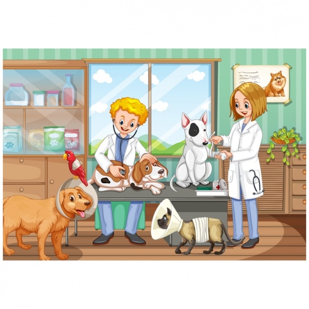 Vector vet consultation background