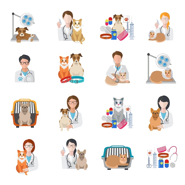 Vector vet designs collection