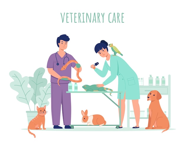 Vet doctor with animals veterinarians work process pets examination and treatment people professionals in medical office health care in veterinary clinic vector cartoon isolated concept