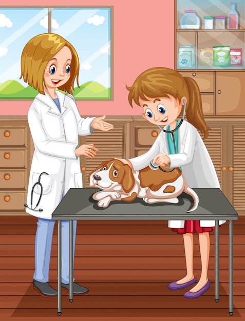 Vet and Dog at Clinic