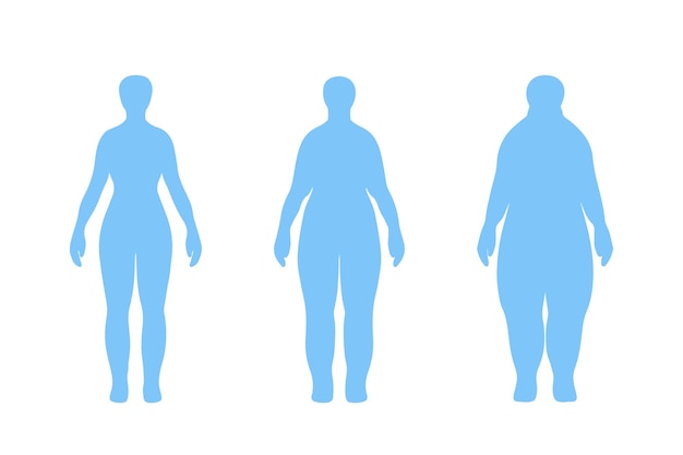 Vet en slank vrouwensilhouet Voor en na gewichtsverlies Body mass index vectorillustratie