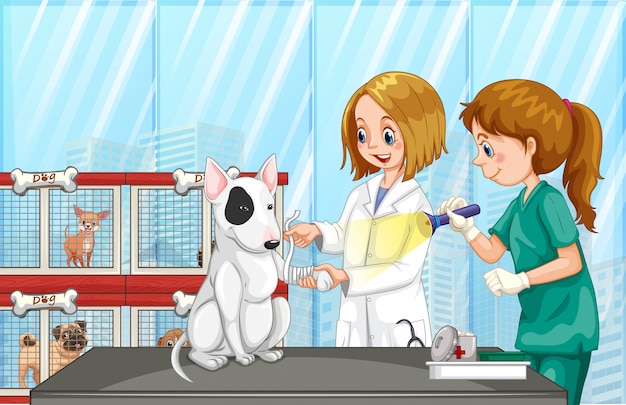 Vettore veterinario che aiuta un cane alla clinica