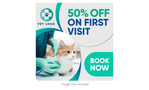 Vector vet and veterinary cat and pet post feed template for instagram facebook linkedin and twitter