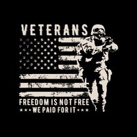 Veteran design illustration - freedom is not free we paid for it - veteran design vector concept.