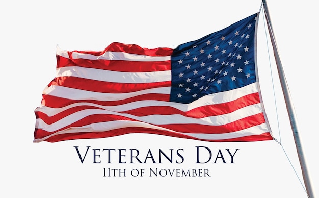 Veterans day 11th of november holiday banner