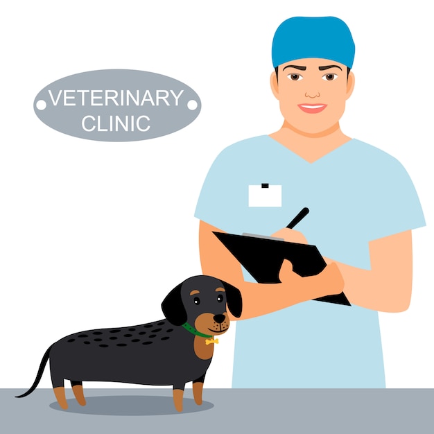 獣医と獣医クリニックの診察台の上の犬