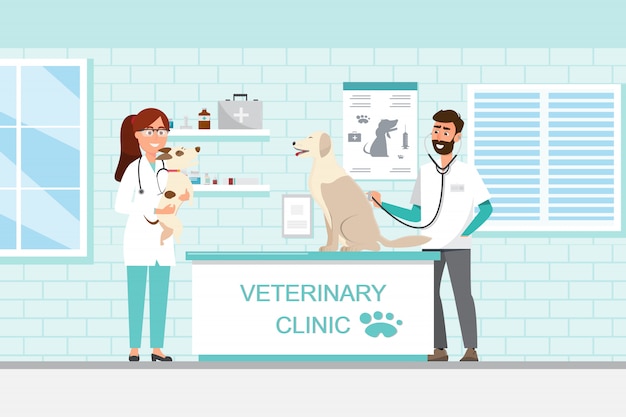 Veterinarian and doctor with dog and cat on counter in vet clinic