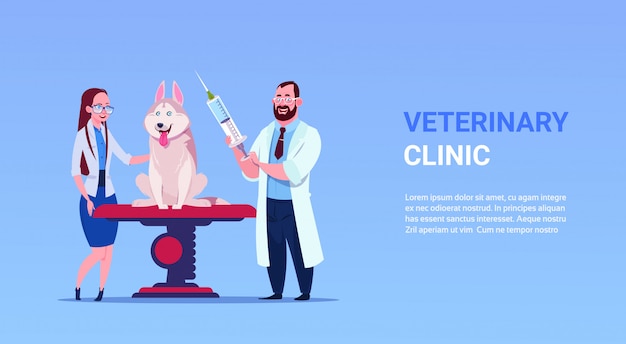 Clinica veterinaria di examining dog vet clinic and veterinary medicine concept