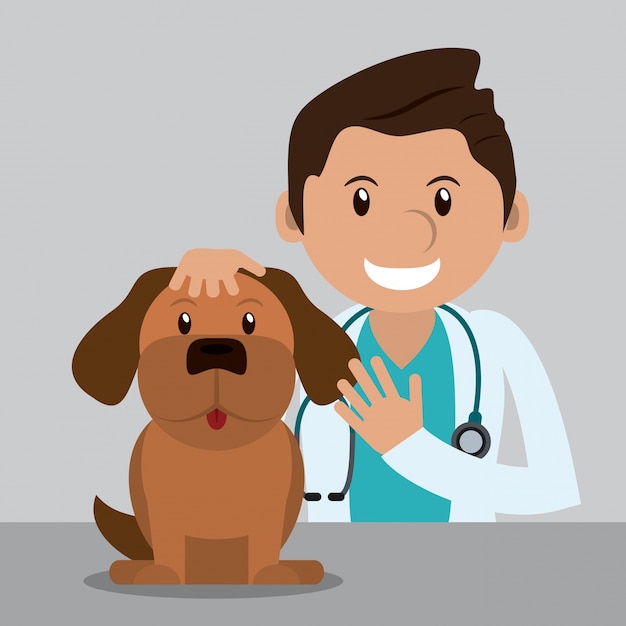 Veterinarian pet clinic icon