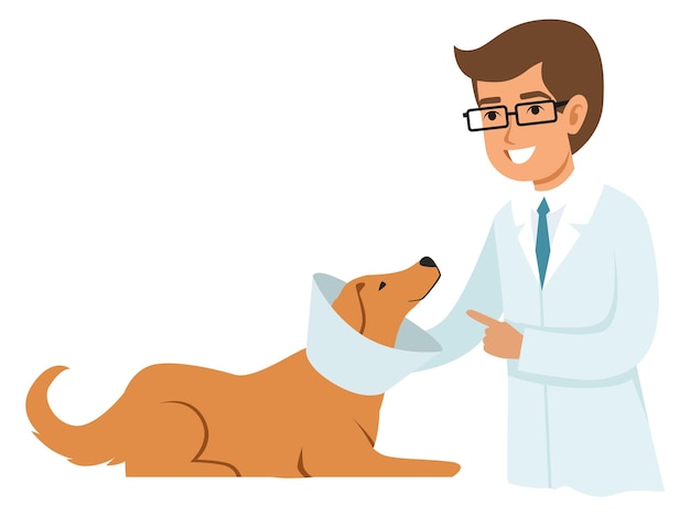 Veterinarian treat dog Animal medical examination Cartoon doctor