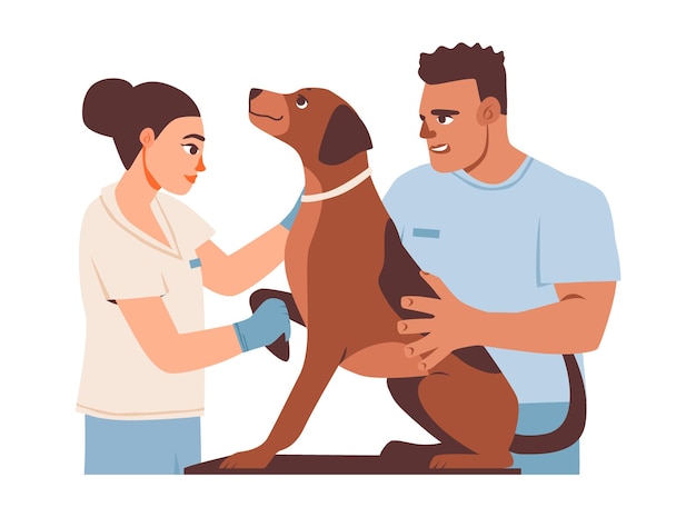 定期的な健康検査中の犬と医師と可愛い犬