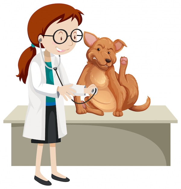 Vector veterinarian with sick animal