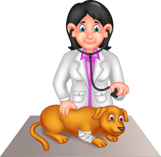 veterinarian