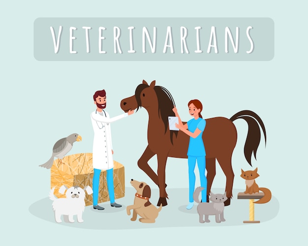 Veterinarians work with animals