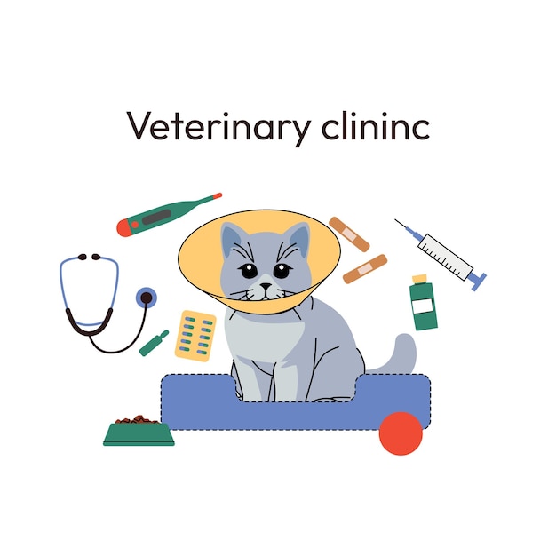 ペットのベッドに座っている保護コーンを着た灰色の猫を描いた医診所のイラスト