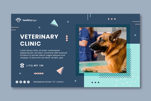 Vector veterinary horizontal banner template