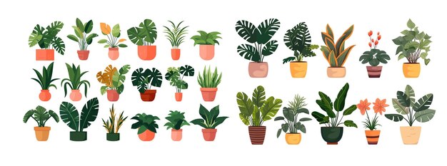 屋内 植物 の 鉢 に 植え られ て いる 鮮やかな 植物 の 集合 図 画 家 や オフィス の ため の 様々な 緑 の 種類