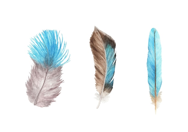 Vibrant feather set. Bird feather. Boho style wings. Watercolor illustration.